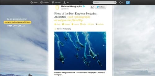 Twitter Card-National Geographic-2