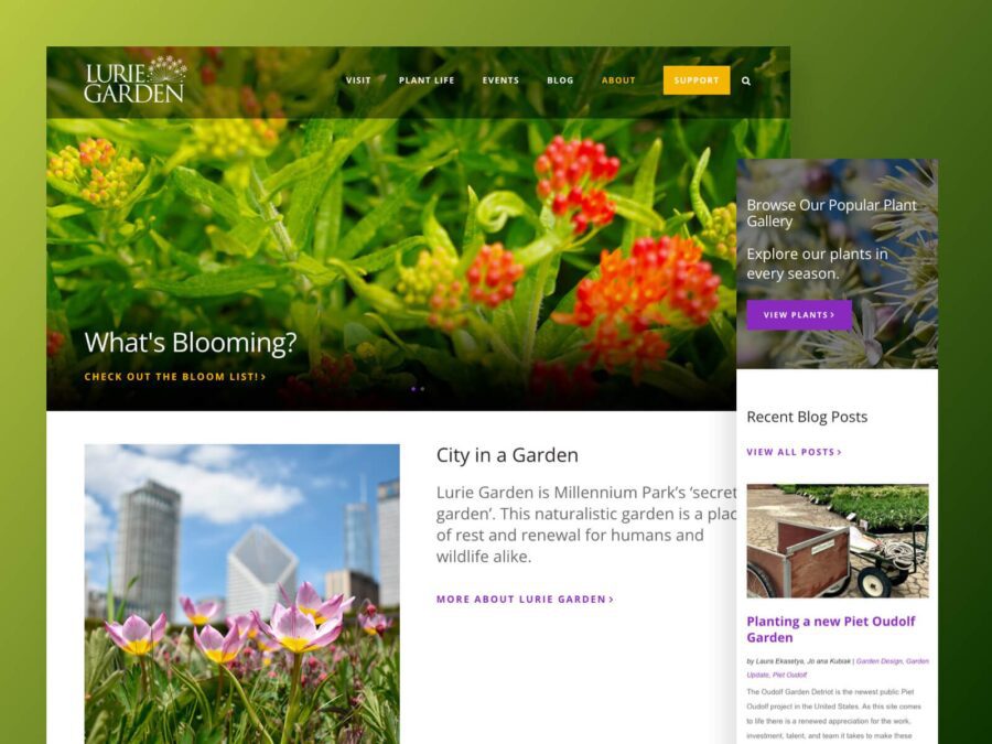 desktop and mobile design for lurie garden website
