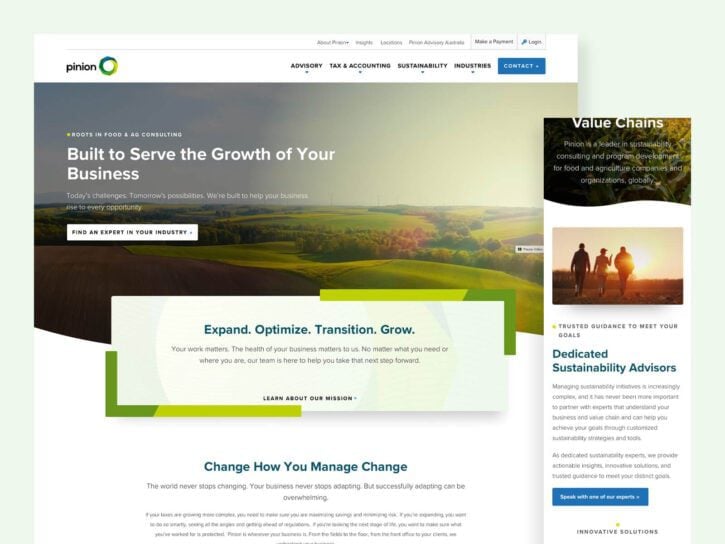 Website homepage showcasing a consulting firm's services for business growth, featuring text about expanding and evolving companies, with a sidebar on sustainability advisors.