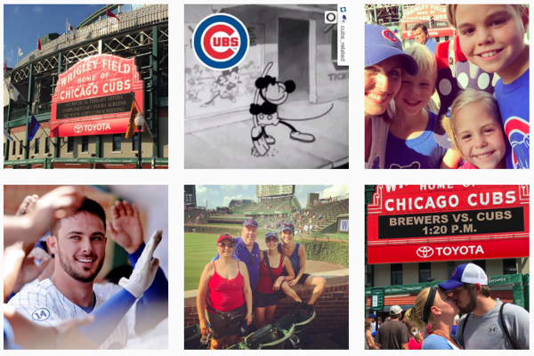 user-generated-content-cubs