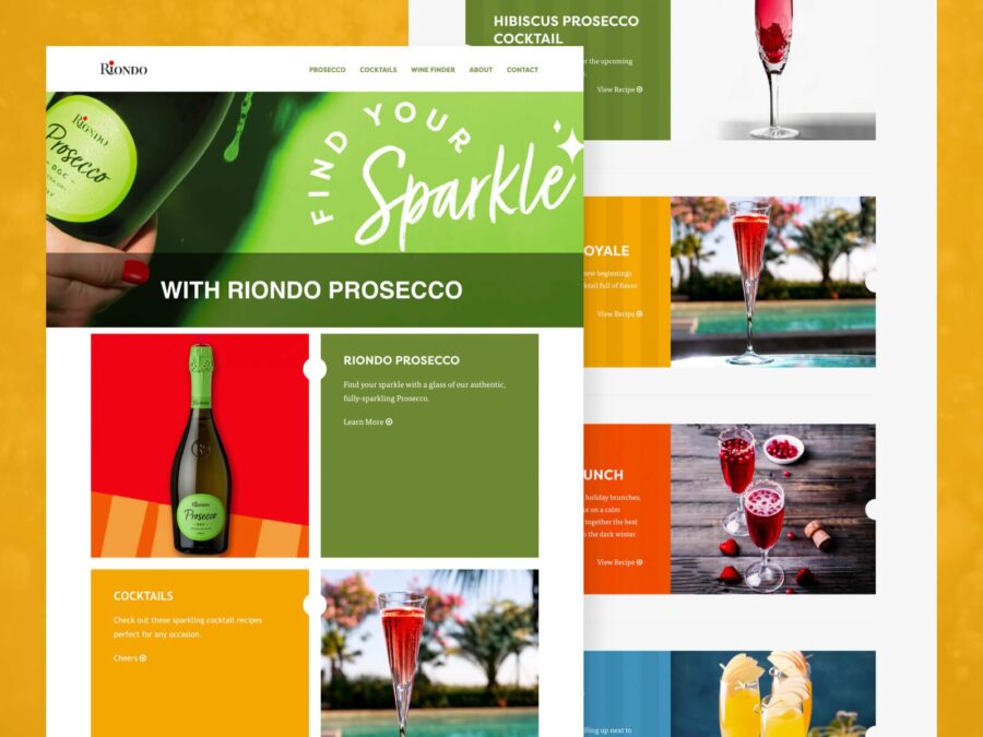2 desktop designs for Riondo website