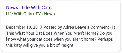 Screenshot of a news snippet titled "Is This What Your Cat Does When You Aren't Home?" posted on December 10, 2017, discussing cat behavior in owners' absence.