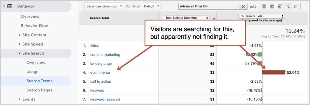 Site Search Terms