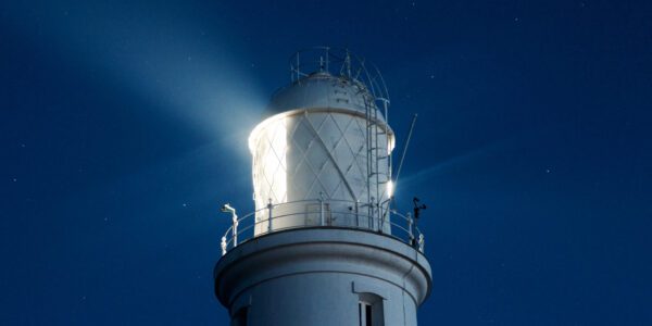 User Signals and SEO: 9 Ways to Show Google That Visitors Love Your Page