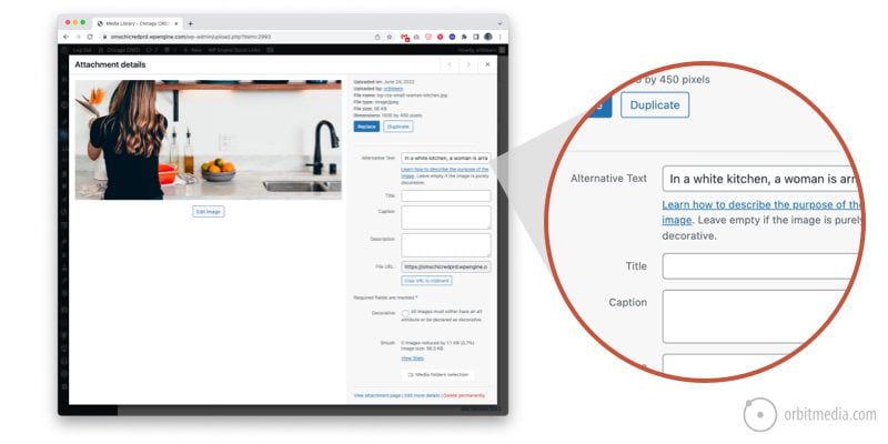 Screenshot of the WordPress alternative text field.