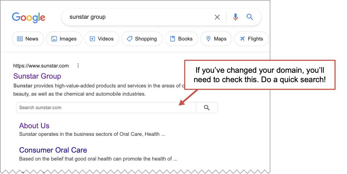 update your site search box in Google