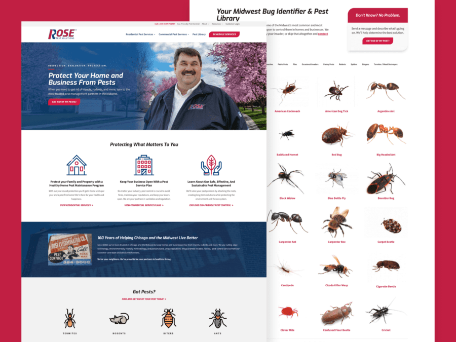 Two desktop-sized screenshots of Rose Pest Solutions website.