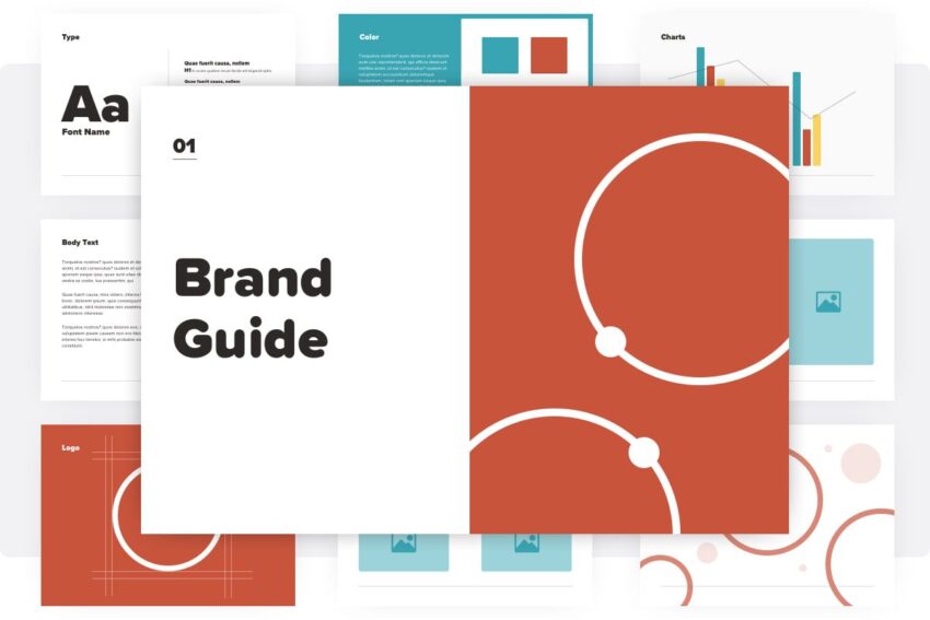 illustration of a brand guide
