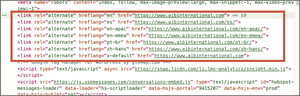screenshot of hreflang tags on backend of multilingual site