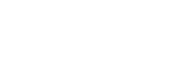Image of a logo featuring the words "PLUM DIAMONDS" in bold, white capital letters against a green background.