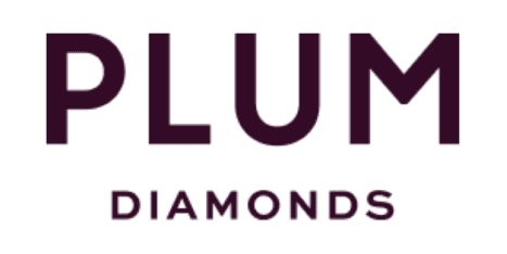 Logo with the text "PLUM DIAMONDS" in dark purple capital letters on a light background.