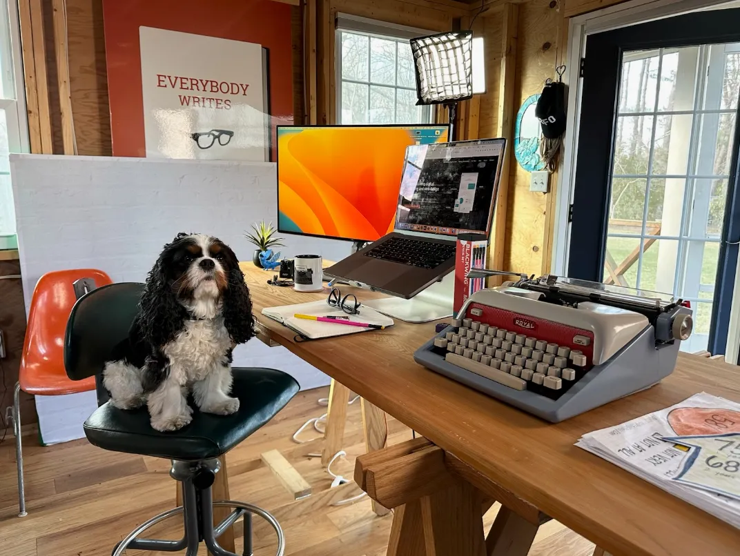 A dog sits on an office chair in a home office with a laptop, vintage typewriter, notepad, and computer monitor on a wooden desk.