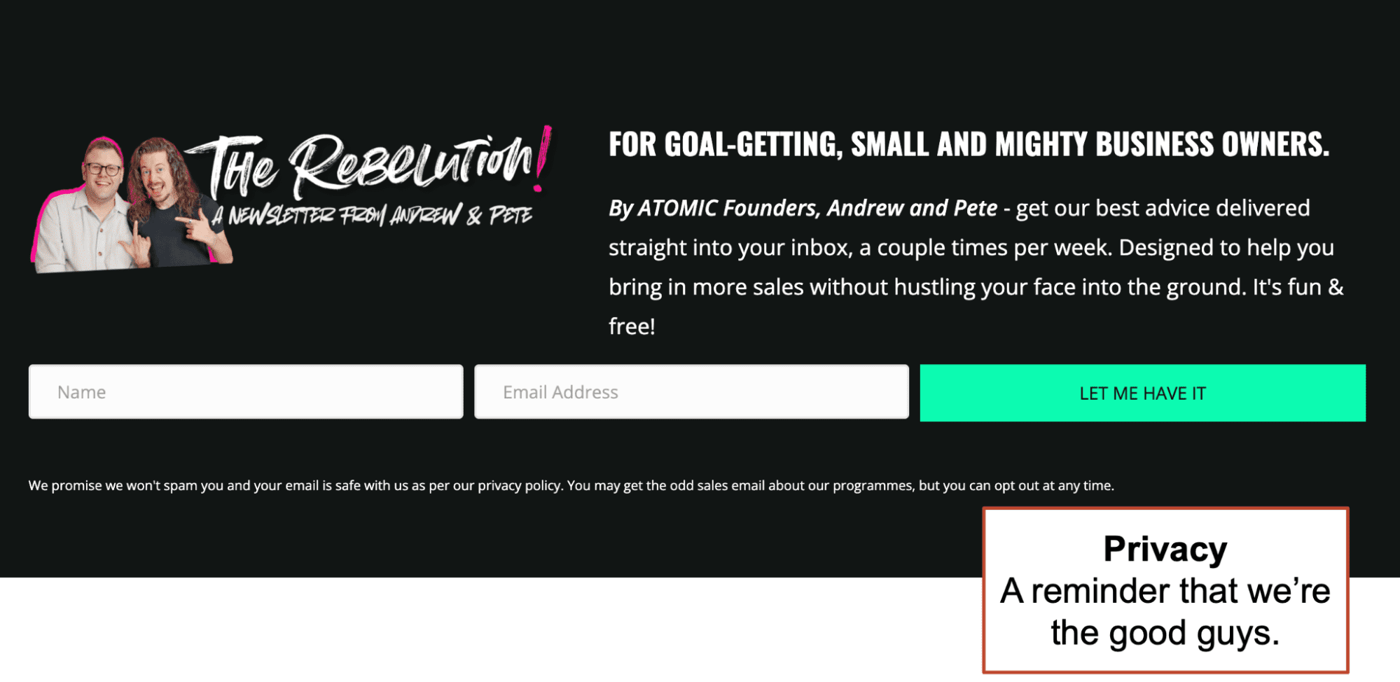 A newsletter sign-up form for "The Rebellion!" by Andrew and Pete, targeting small business owners, with fields for name and email and a privacy reminder at the bottom.